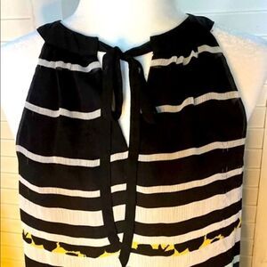 Elle Sleeveless Lined Blouse